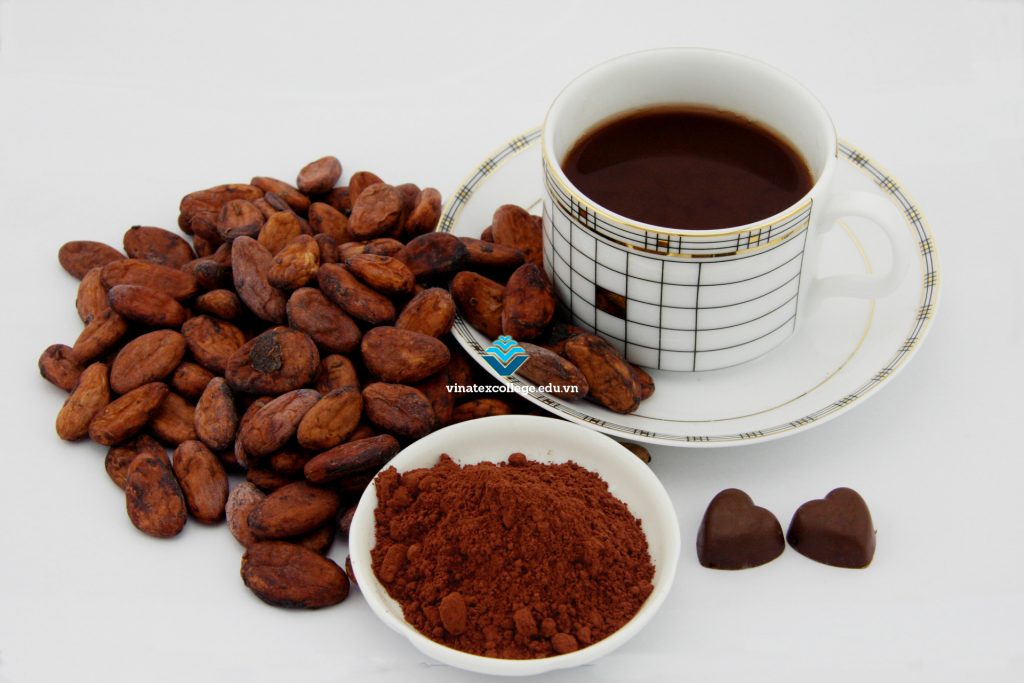 Hướng dẫn pha bột cacao